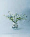 Vase Dam - White Spots