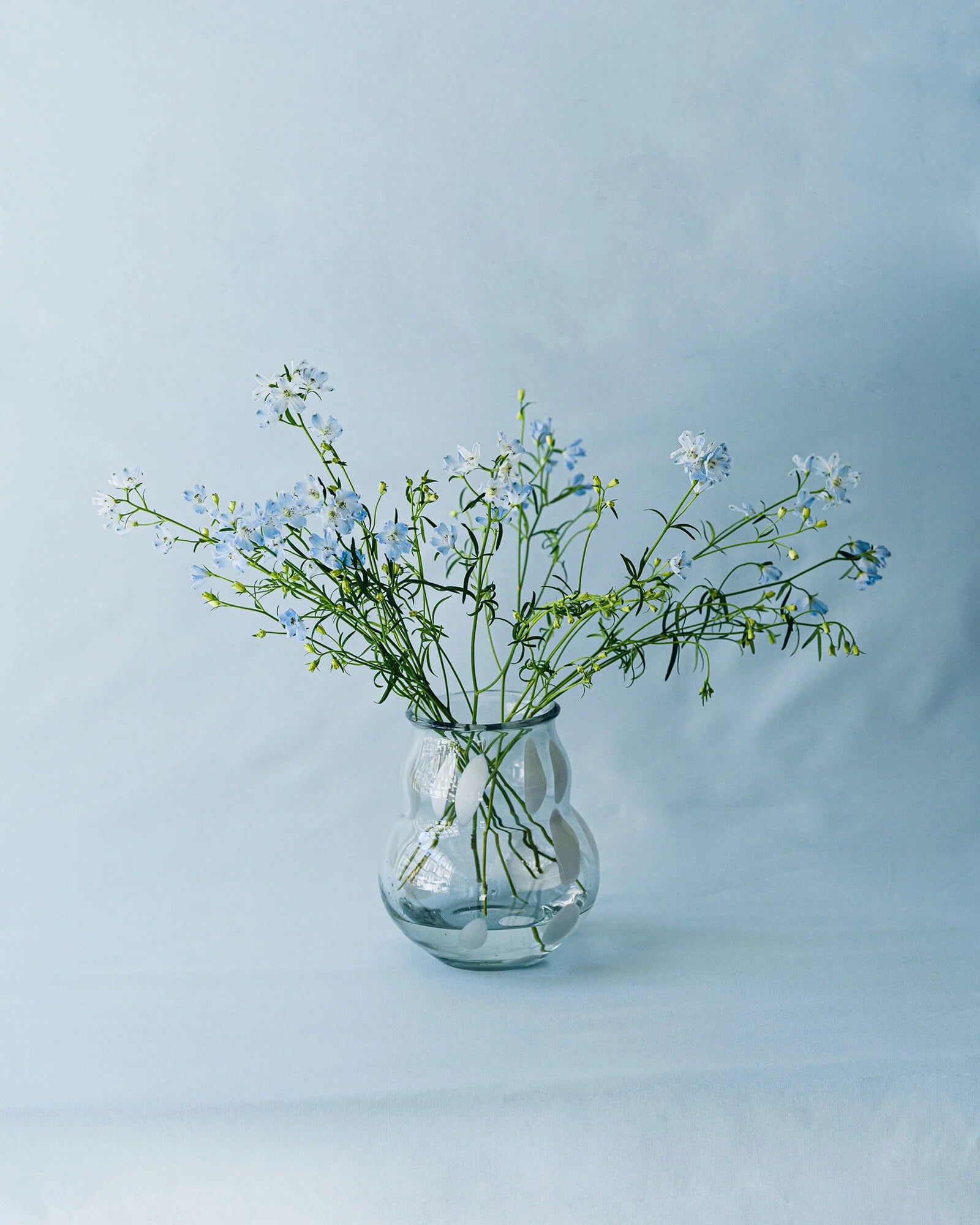Vase Dam - White Spots