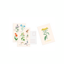 Set De 10 Cartes Postales Fleurs - Zoé De Las Cases