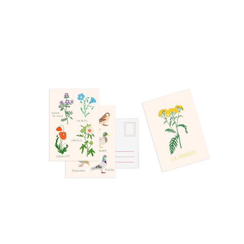 Set De 10 Cartes Postales Fleurs - Zoé De Las Cases