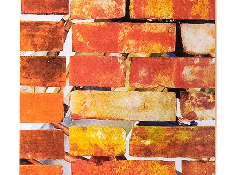 Kelley Walker - Red Bricks