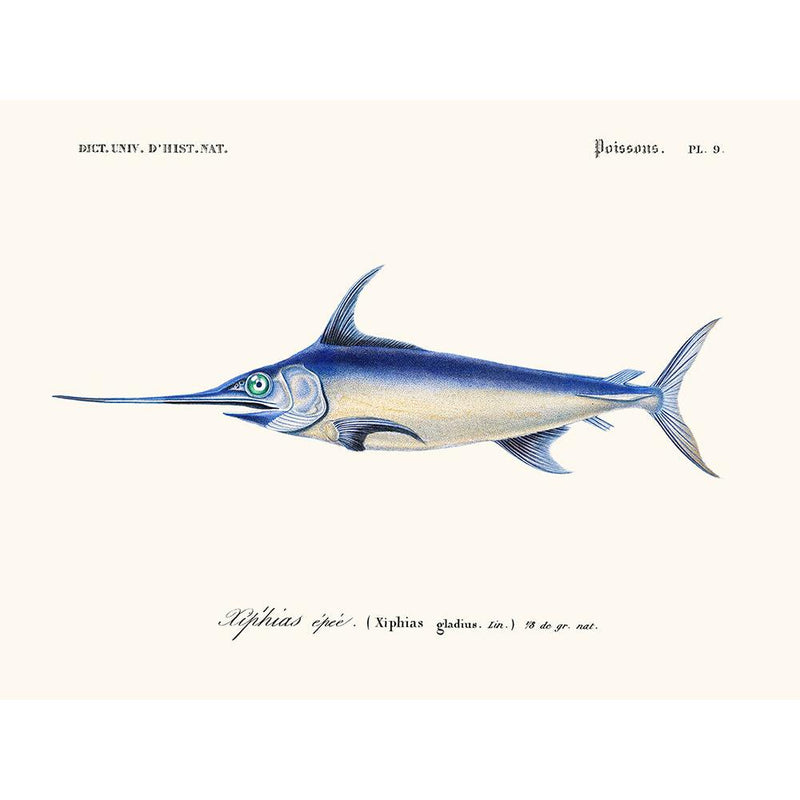 Sciences Naturelles - Xiphias