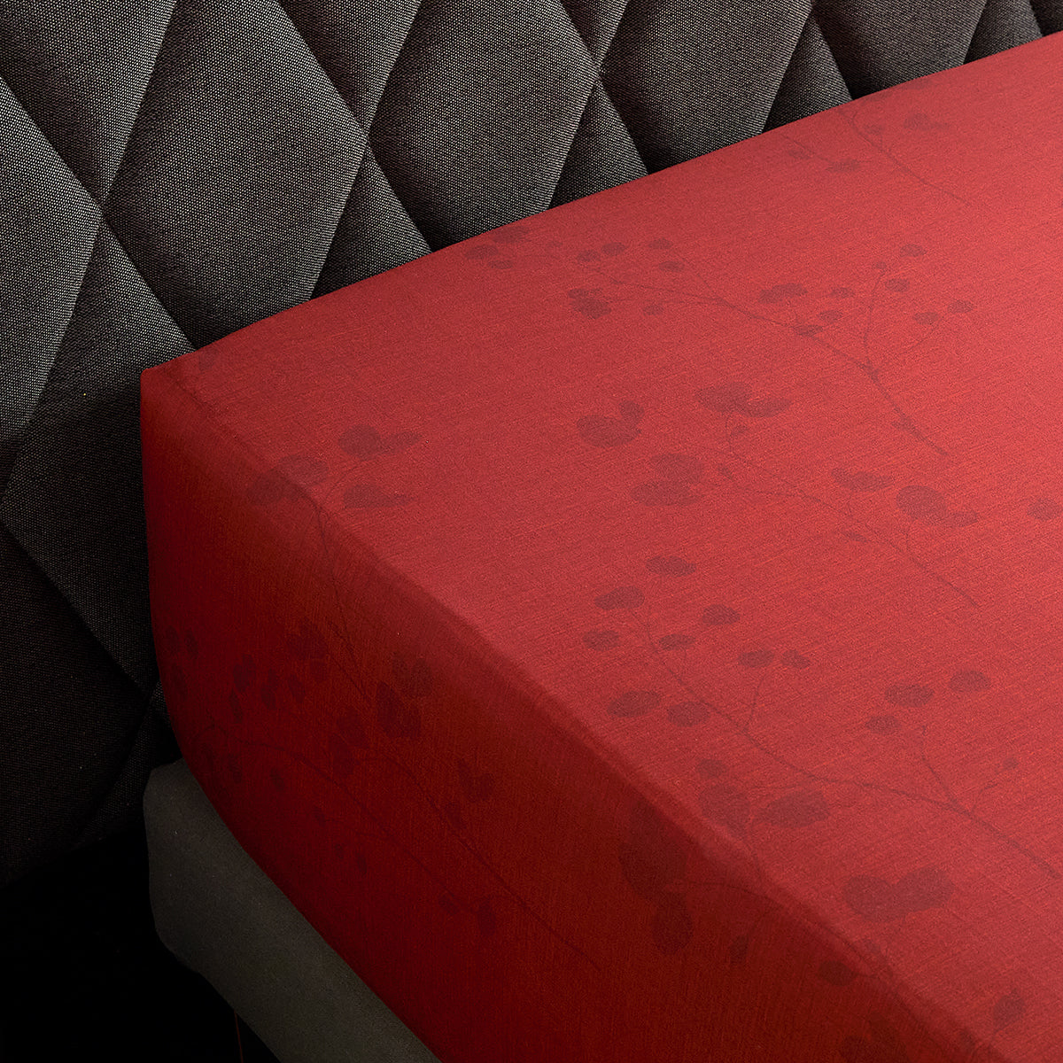 Minimaliste - Drap Housse - Terracotta