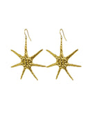 Boucles D'Oreilles Star