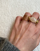 anillo portabrocas
