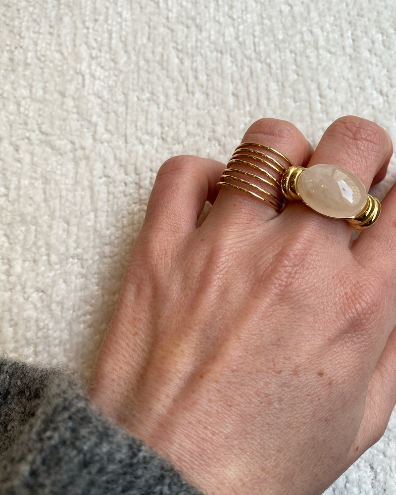 anillo portabrocas