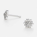 Boucles D'Oreilles "Beauté Majestueuse" Diamant 0,2/38 - Or Blanc 375/1000