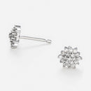 Boucles d'Oreilles "Beauté Majestueuse" Diamant 0,2/38