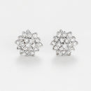 Boucles d'Oreilles "Beauté Majestueuse" Diamant 0,2/38