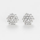 Boucles D'Oreilles "Beauté Majestueuse" Diamant 0,2/38 - Or Blanc 375/1000