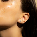 Boucles d'Oreilles "Beauté Majestueuse" Diamant 0,2/38