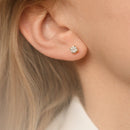 Boucles D'Oreille "Puces 2Ct" - Or Blanc 750/1000