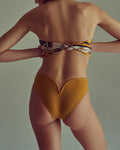 Eclipse High-Waisted Briefs - Mustard