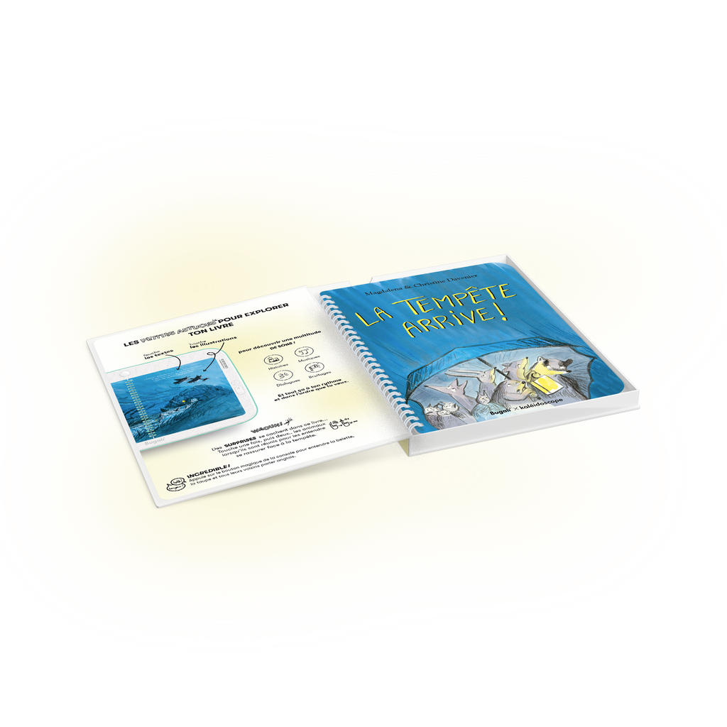 Book - The Storm is Coming! (5+)
