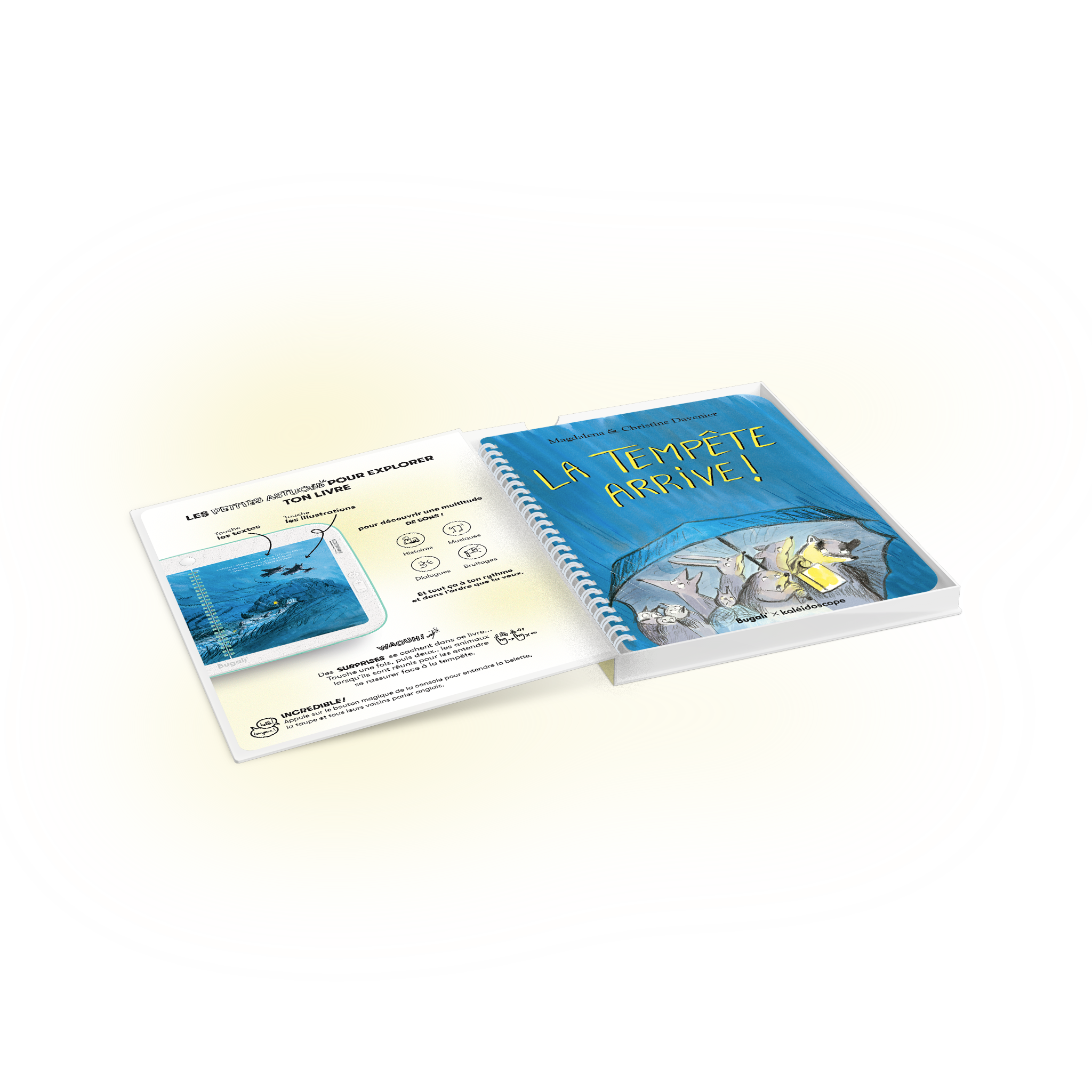Book - The Storm is Coming! (5+)