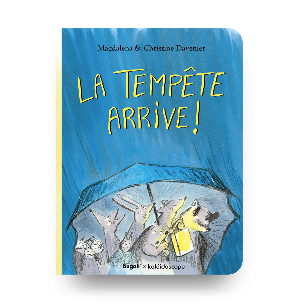 Book - The Storm is Coming! (5+)