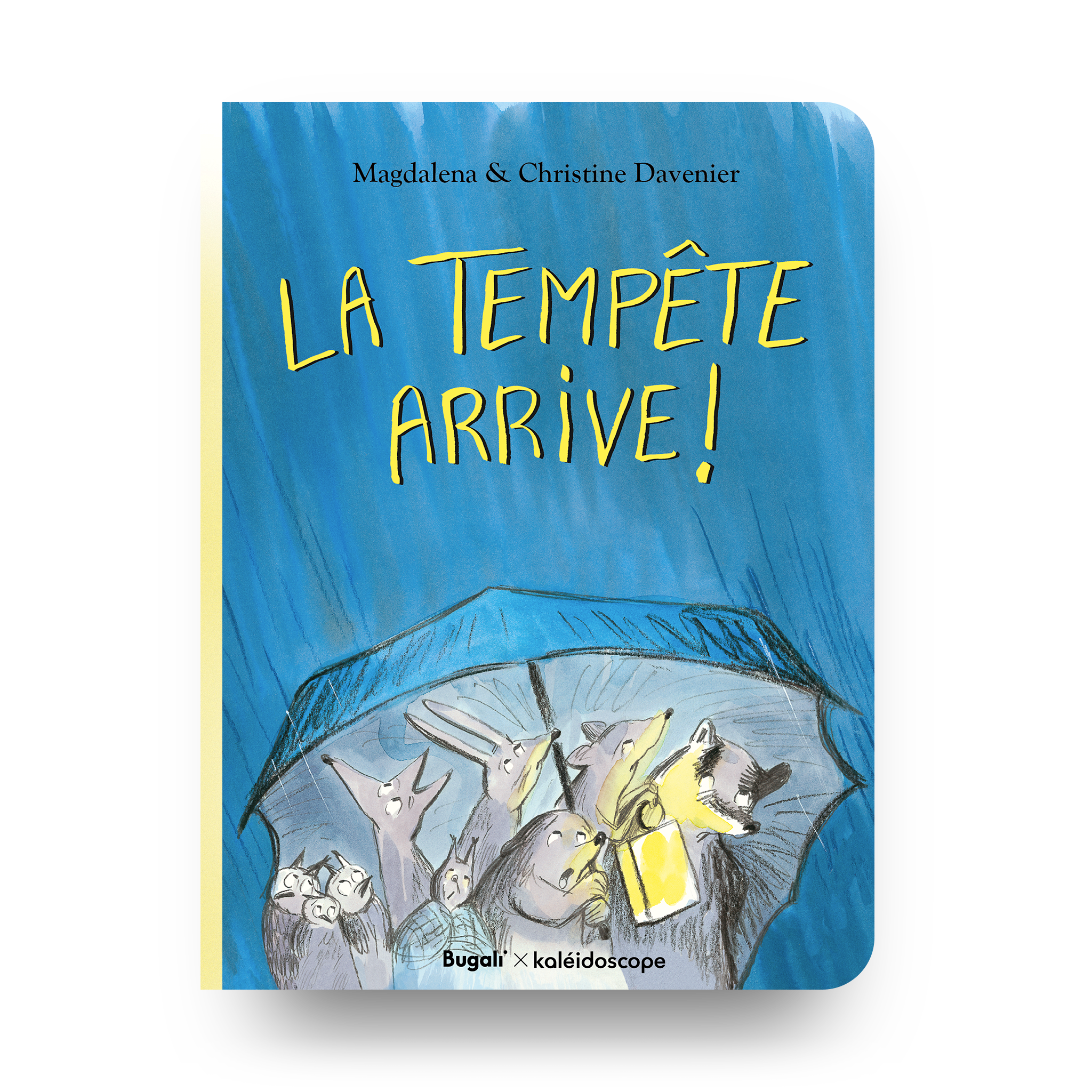 Book - The Storm is Coming! (5+)