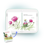 Trios - Trio Livres - Minusculette (3+)