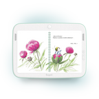 Book - Tiny, The Garden Fairy (3+)