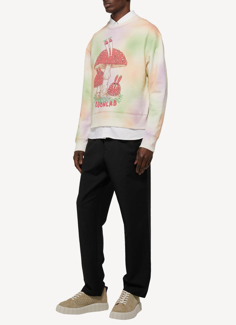 Egonlab - Sweatshirt - Multicolor - Homme