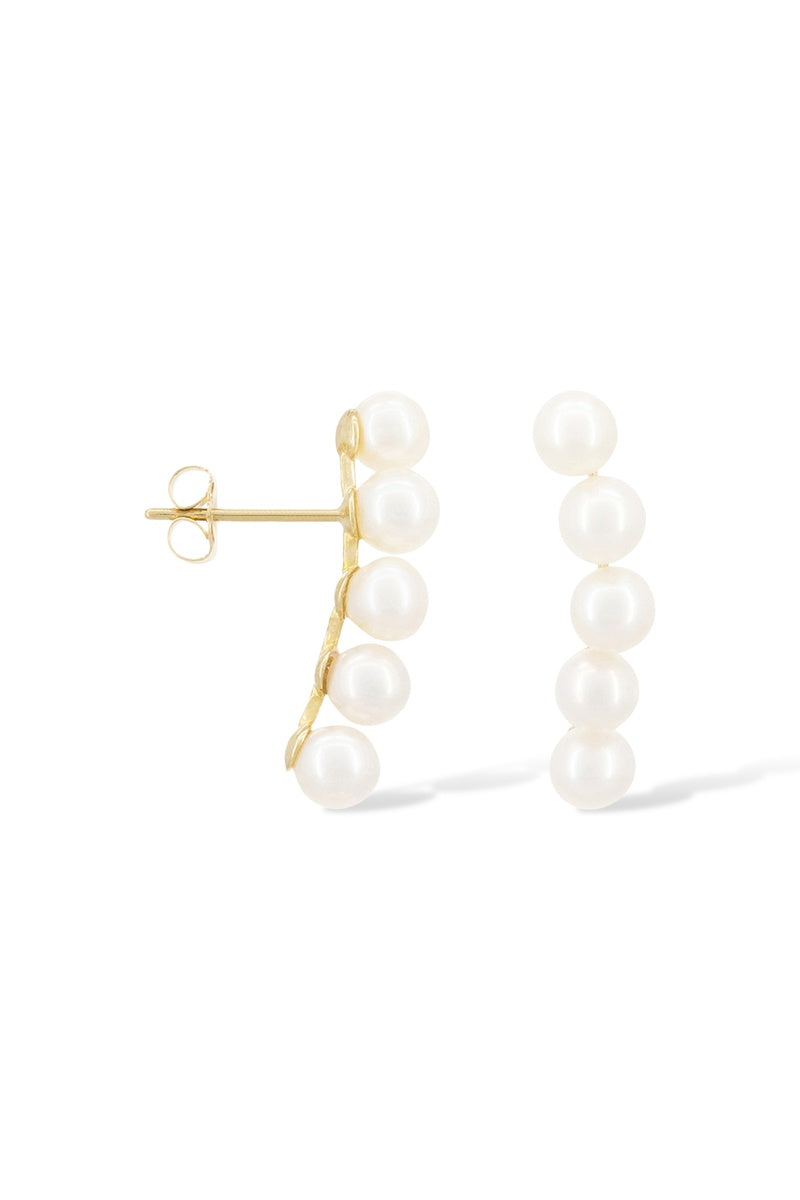 Boucle D'Oreilles Perle Grimpantes