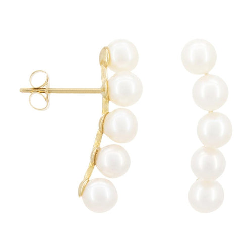 Boucles D'Oreilles Perle Grimpantes