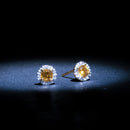 Popi Earrings - D0,05/16 And Citrine 0,46/2 - Yellow Gold 375/1000