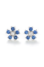 Boucles D'Oreilles "Clématite" D0,05/2 S0,80/10