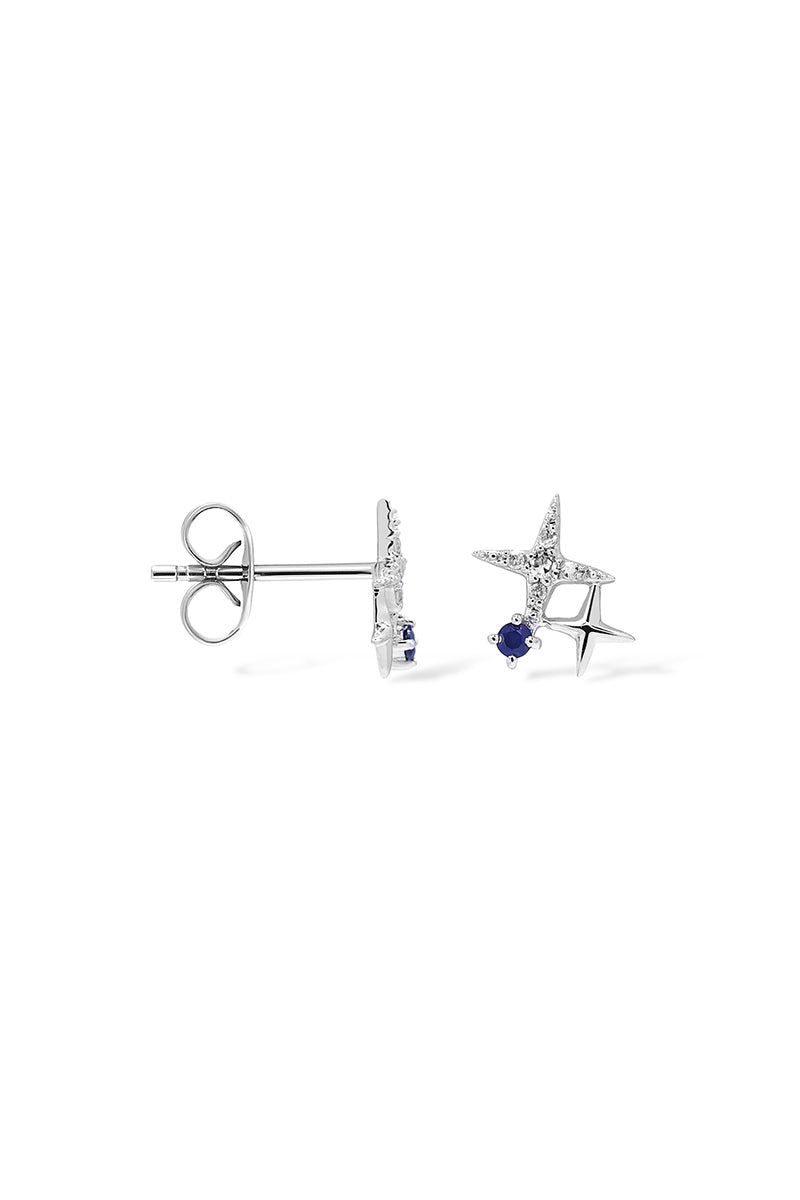 Earrings D0.05/10 S0.05/2 - White Gold 375/1000