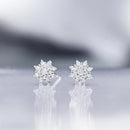 Boucles D'Oreilles "Lecce" D 0,254/34 - Or Blanc 375/1000