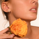 Kochani" Earrings D 0,144/32 Pearl 2 - Yellow Gold 375/1000