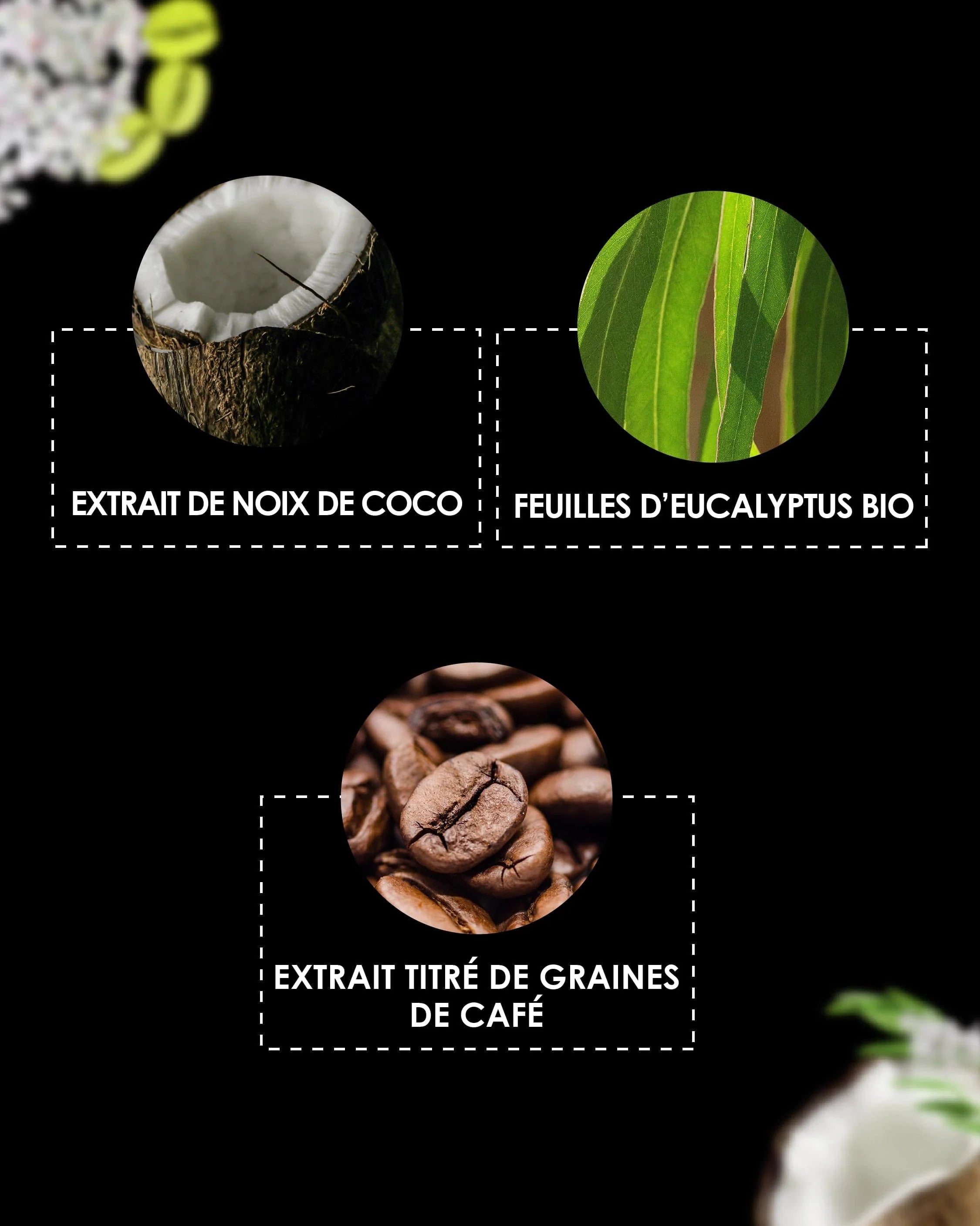 Laboratoire Garancia Gommage Corps PSCHITT MAGIQUE Ingrédients clés : extrait de noix de coco, feuilles d'eucalyptus bio et extrait titré de graines de café.