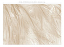 Panoramic Wallpaper - Soft - Beige