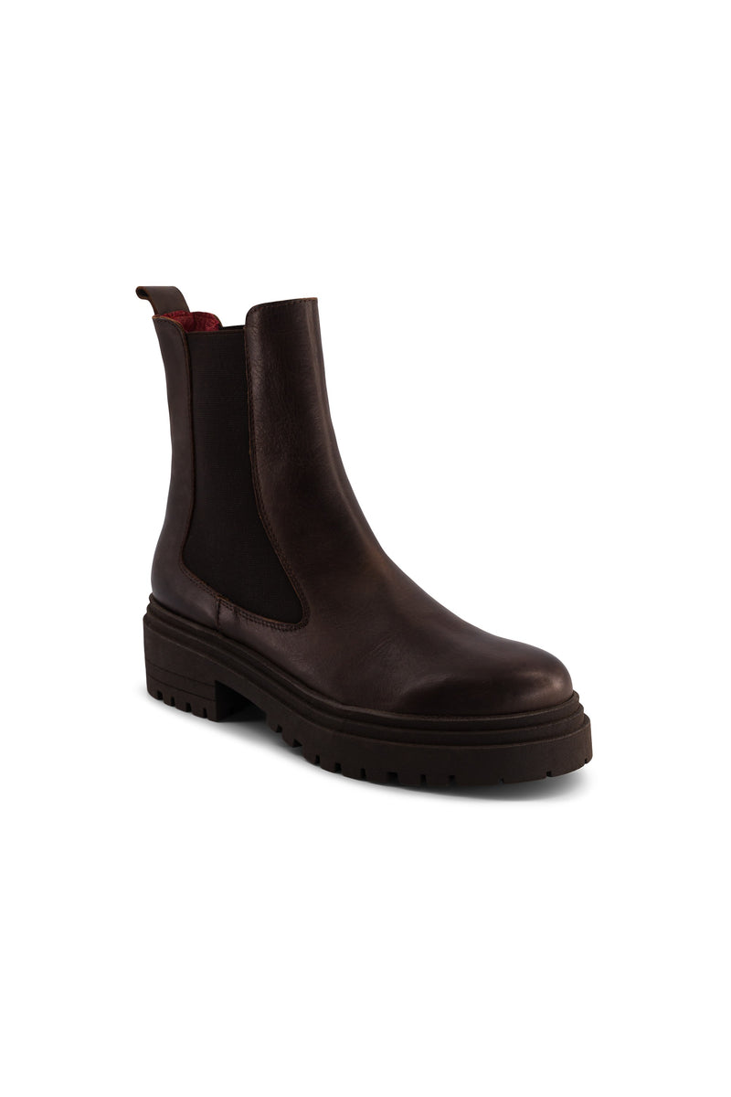 Chelsea Boots - Chocolate