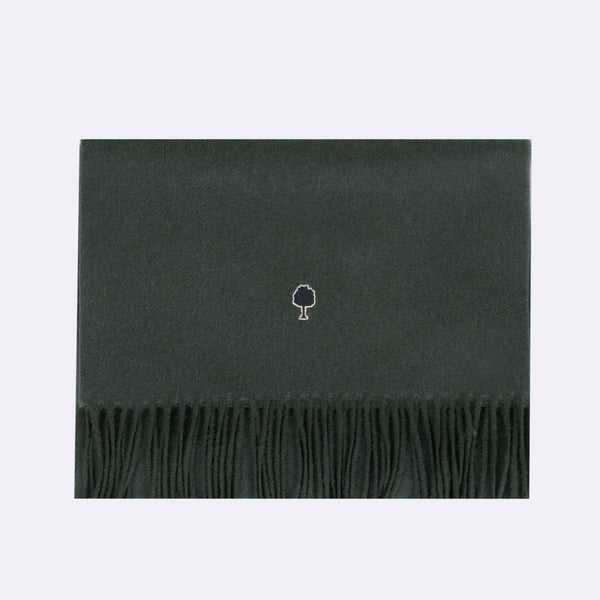 Écharpe Vert Foncé & Multicolore Scarf - Homme