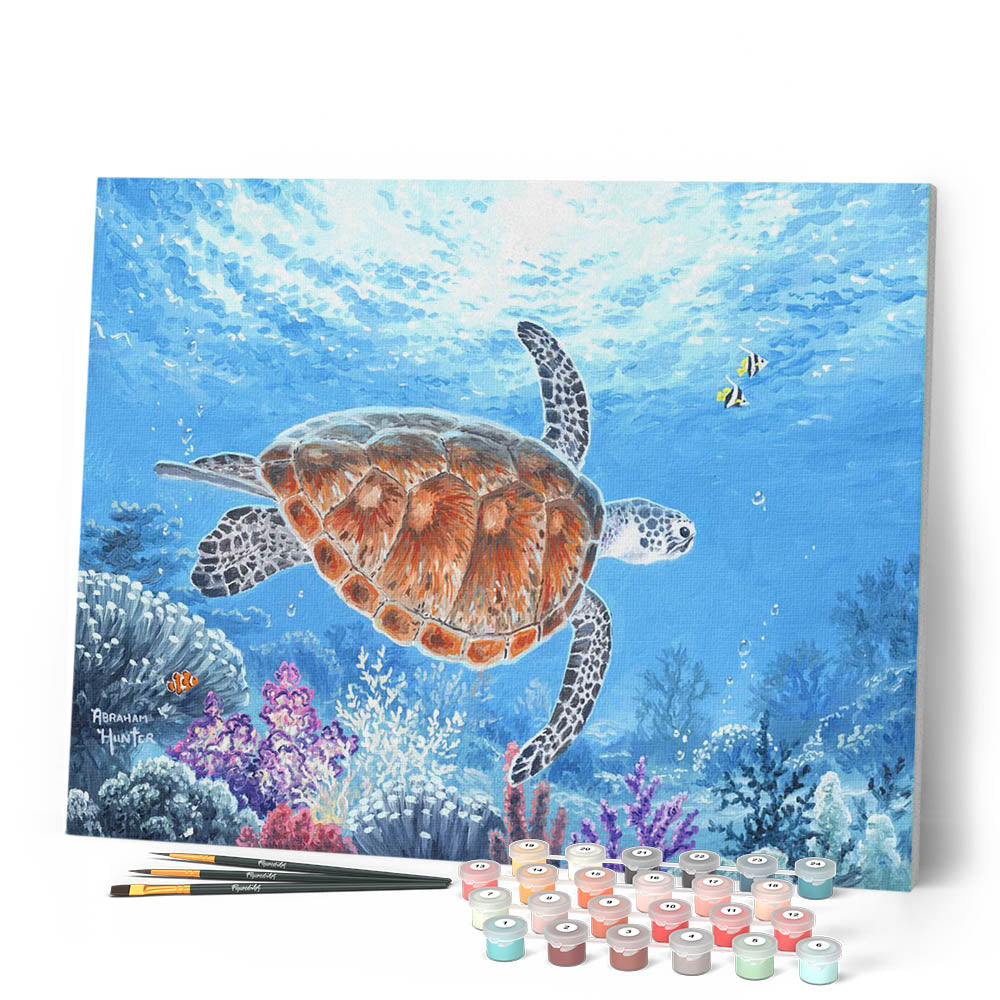 Peinture Par Numéros - Tortue En Ballade