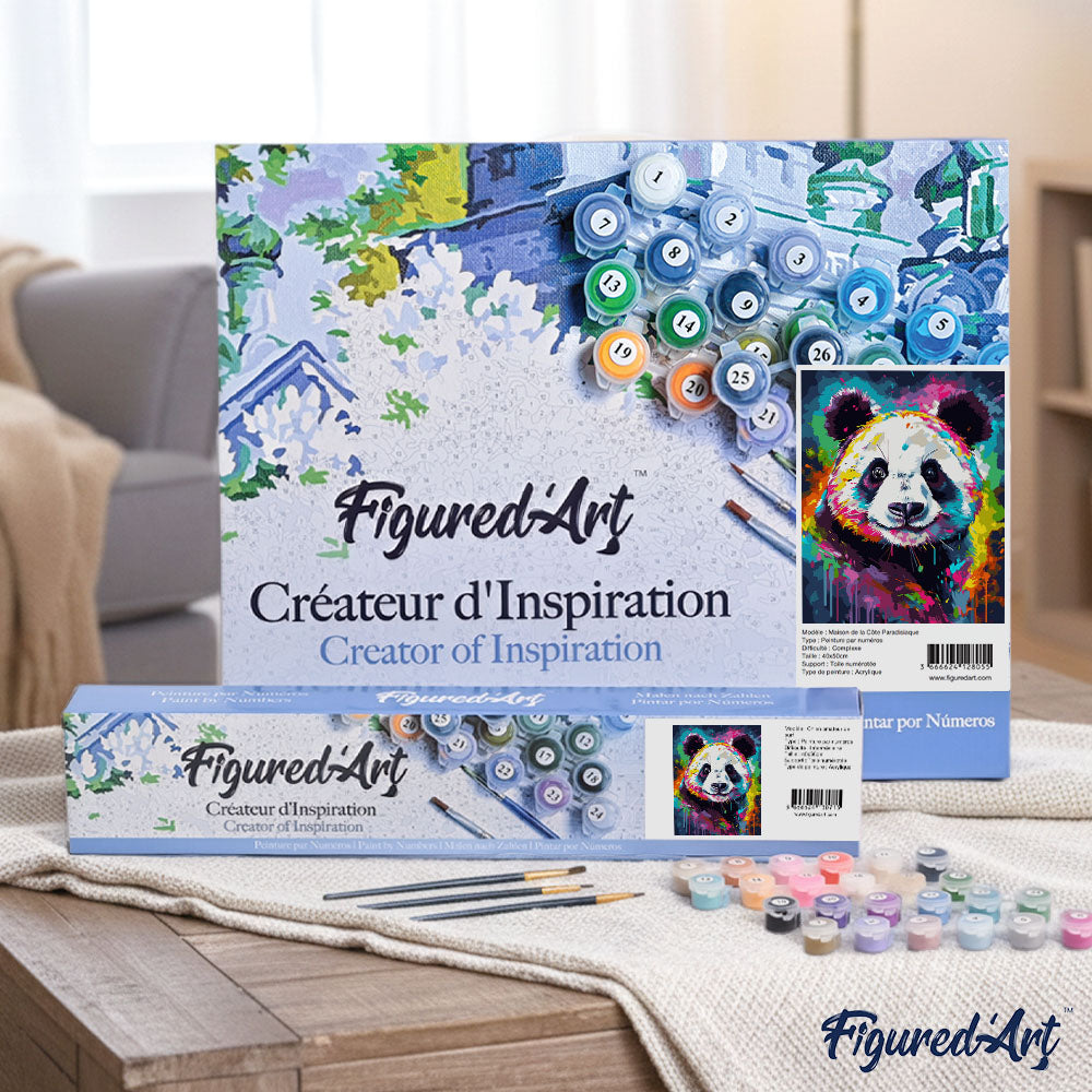 Paint By Numbers - Abstract Coloured Panda