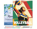 Peinture Par Numéros - Affiche Sportive Volley