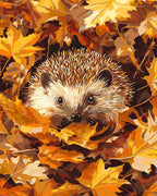 Peinture Par Numéros - Hérisson Dans Les Feuilles D'Automne