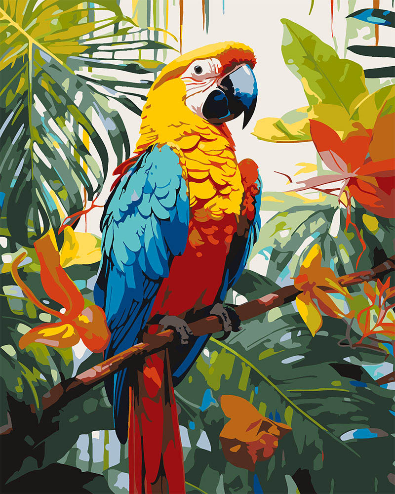 Paint By Numbers - Tropical Macaw
