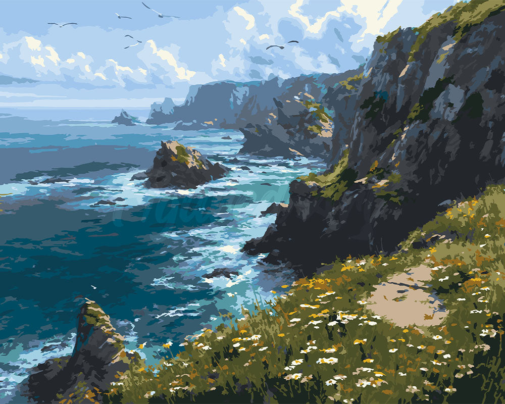 Peinture Par Numéros - Prairie Fleurie En Bord De Falaise