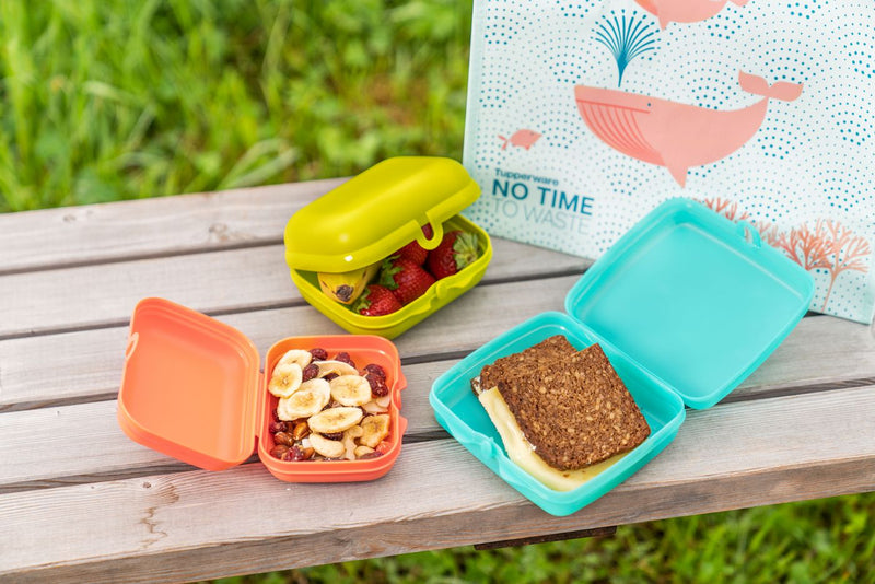 Éco Boîte À Bêtises Petite