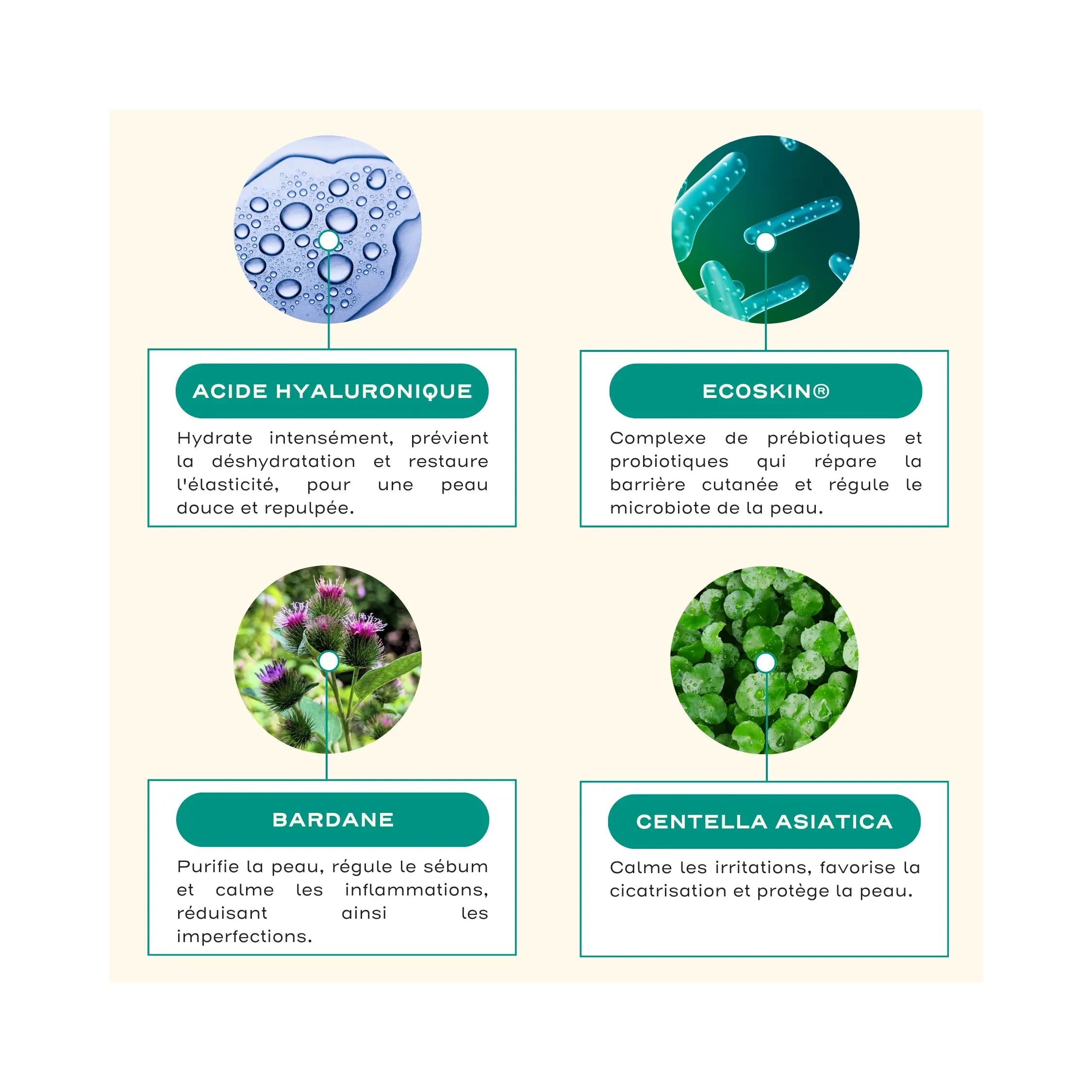 Feed - Hydration & Sebum Regulation