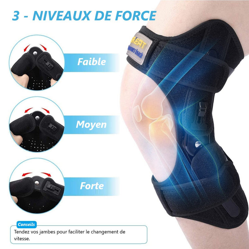 Genouillère Rotulienne