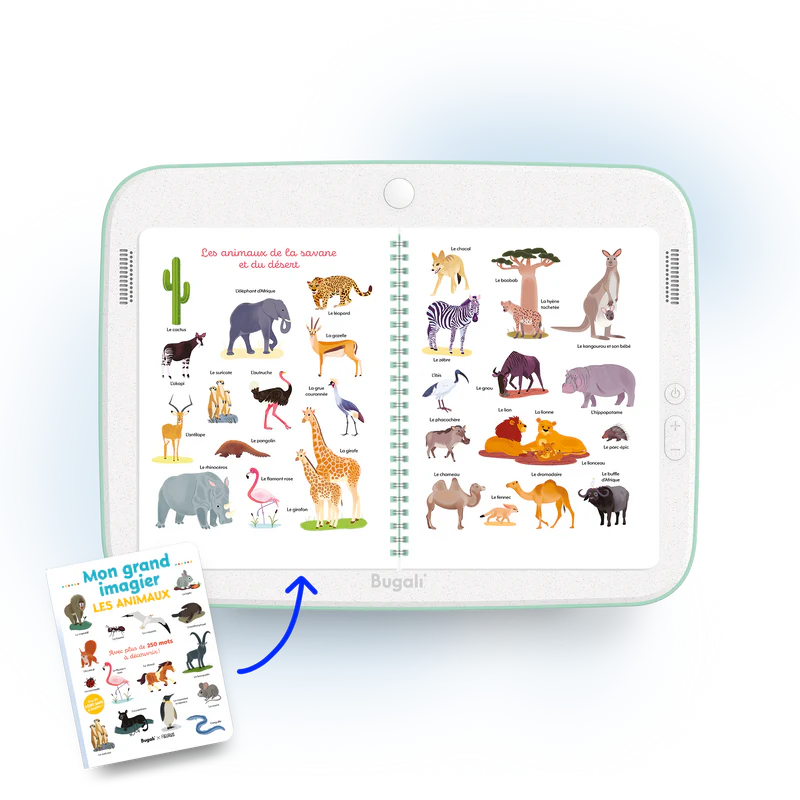 Duos - Duo Livres - Mes Grands Imagiers (3+)