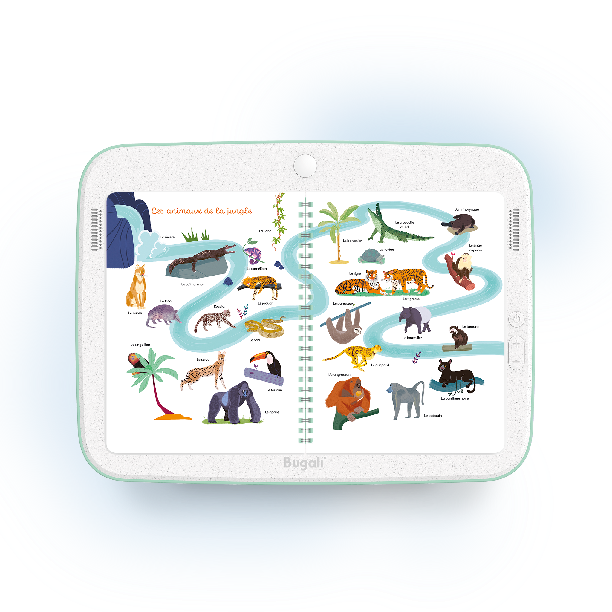 Libro - Mon Grand Imagier • Animales (3+)