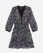 Skater Dress - Black - Women
