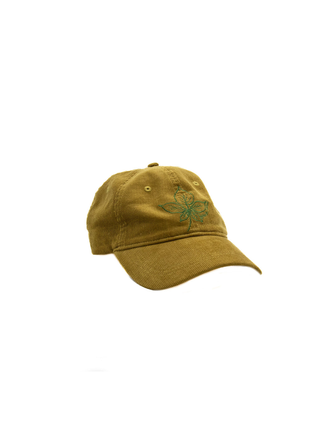 Casquette Pema - Olive
