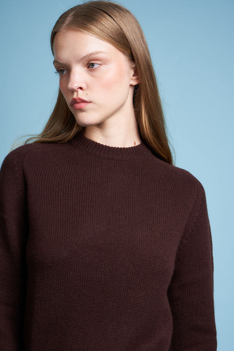 Wool and cashmere sweater with zoom round neck - Chocolate