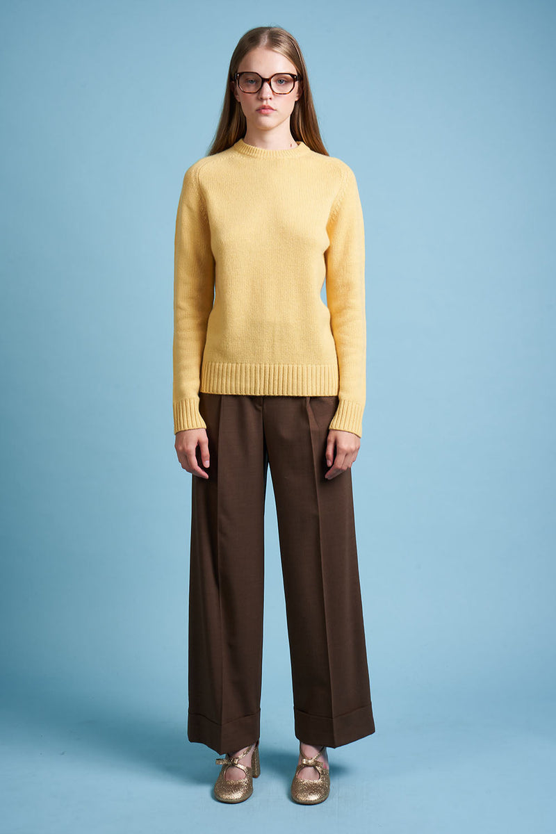 Jersey de punto de lana y cachemira, cuello redondo, largo completo - Amarillo